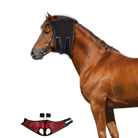 Red Light Hoof Therapy Instrum - Woodworking Therapy ulasan dan harga